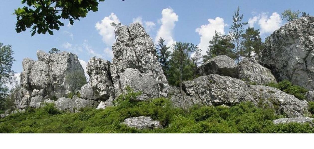 Haus Bergblick Bay. Wald Prackenbach Exterior foto